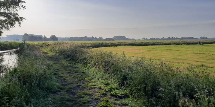 sloot weggetje weilanden boerderij