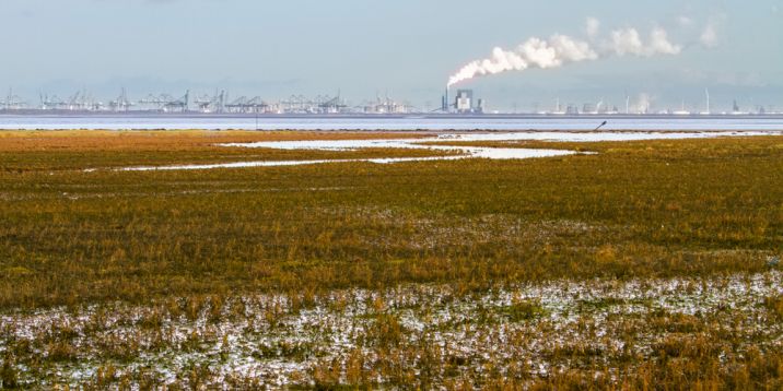 shutterstock_1474726751