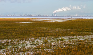 shutterstock_1474726751